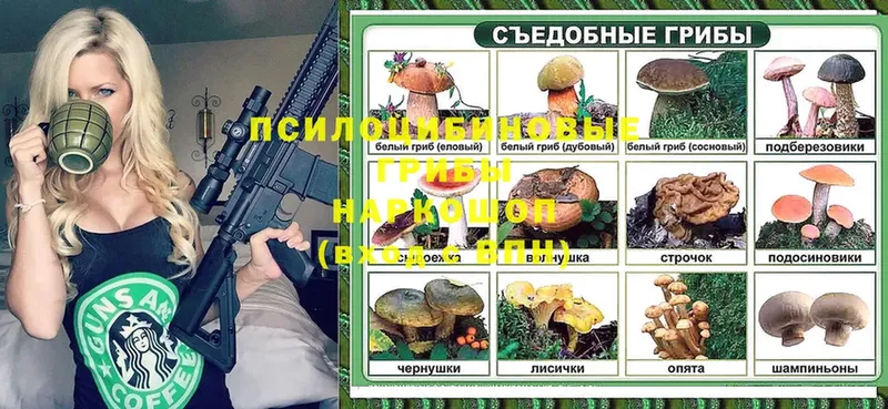 где продают наркотики  Вуктыл  Псилоцибиновые грибы Magic Shrooms 